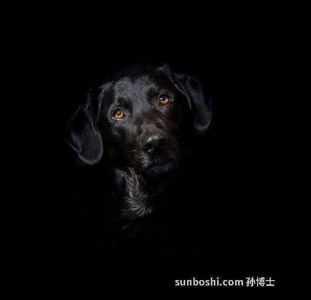 夢見親熱-夢見和異性親熱-夢見和女朋友親熱