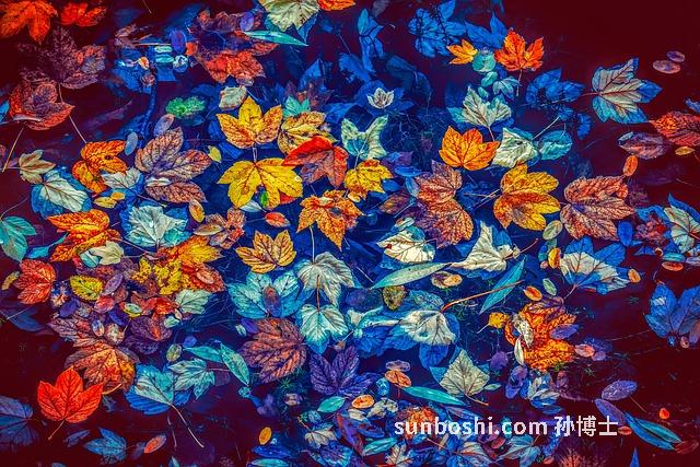 夢見下水救人-夢見自己下水救人-夢見別人下水救人