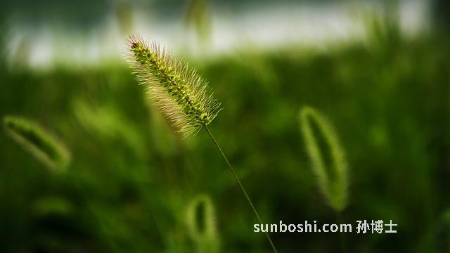 夢見自己被暗戀