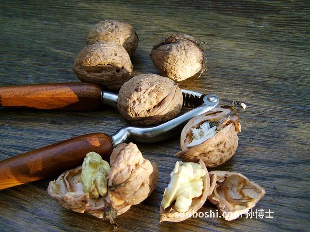 核桃硬殼的功效與作用