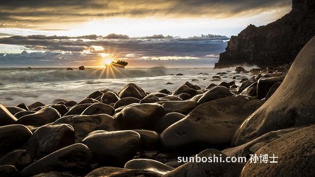 新西蘭葡萄籽的功效與作用