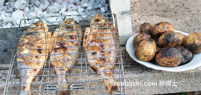 夢見看到魚-夢見看到魚在水中游-夢見看到魚在水里游