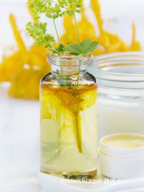 沙棘化妝品功效與作用