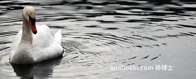 夢見一地水-夢見家里流了一地水