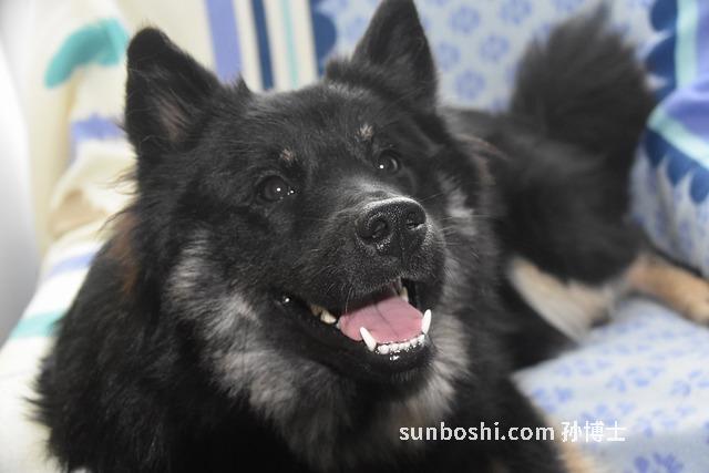 夢見牙齒松了-女人夢見牙齒松動-夢見牙齒松動但沒掉