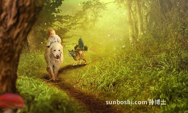 夢見出去旅行-夢見要出去旅行-夢見自己出去旅行