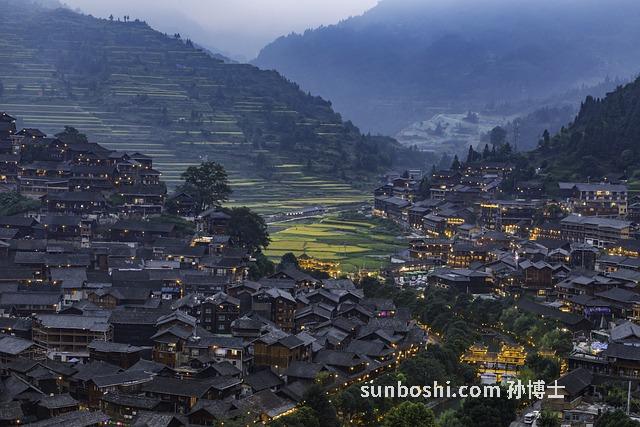 胡羅卜苗的功效與作用