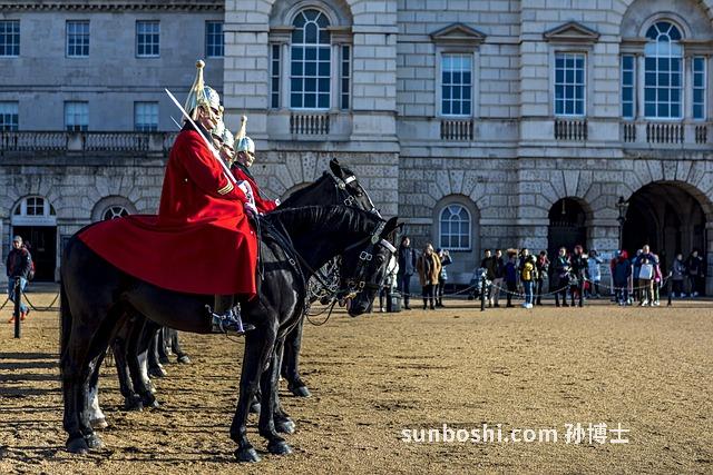 士豆的營養功效與作用-紅士豆的功效與作用-士豆醇的作用與功效