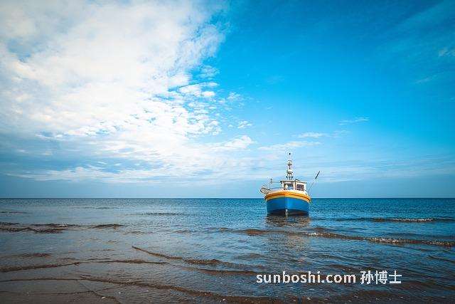 夢見魚沒有水-夢見魚沒有水還活著