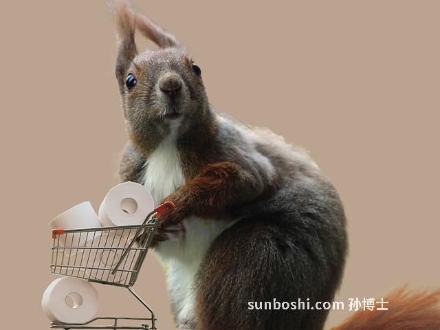 夢見廁紙-夢見廁紙上有屎-夢見拿廁紙