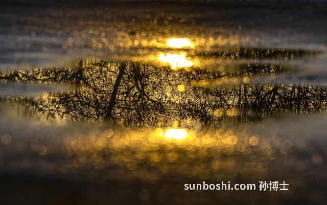 夢見開車掉進坑里