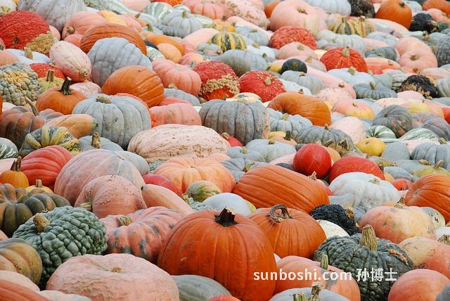 夢見很多瓜-夢見很多瓜果-孕婦夢見很多瓜