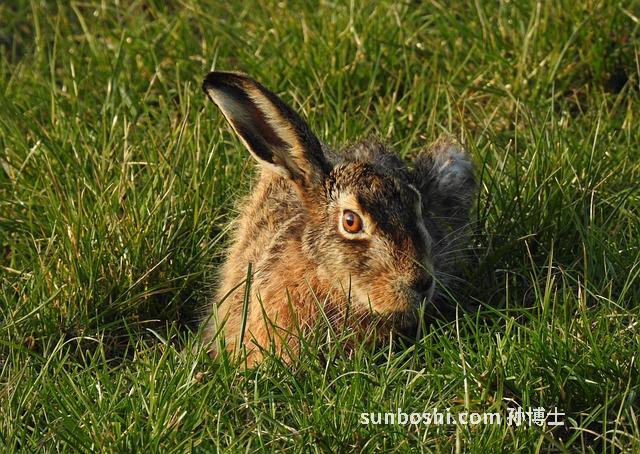 夢見被別人刺傷-夢見被別人刺傷流血-夢見自己被別人刺傷
