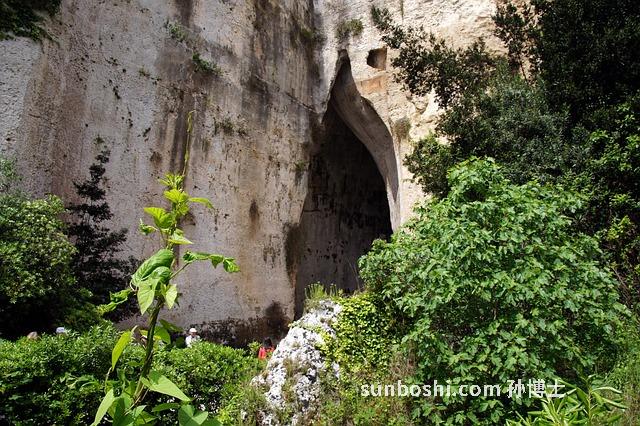 密花雪耳功效與作用