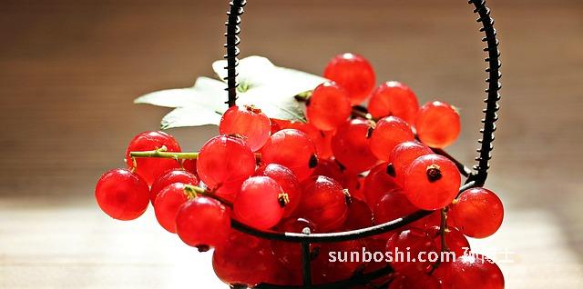 梅栗顆粒的功效與作用