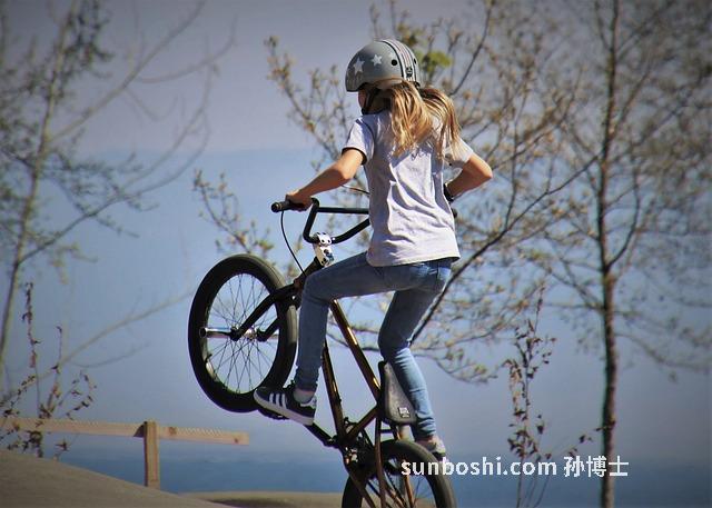 夢見倆馬-夢見倆馬駒