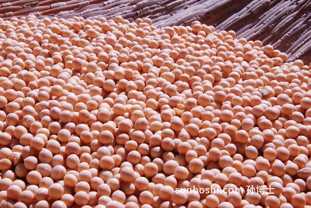 綠豆衣的功效與作用