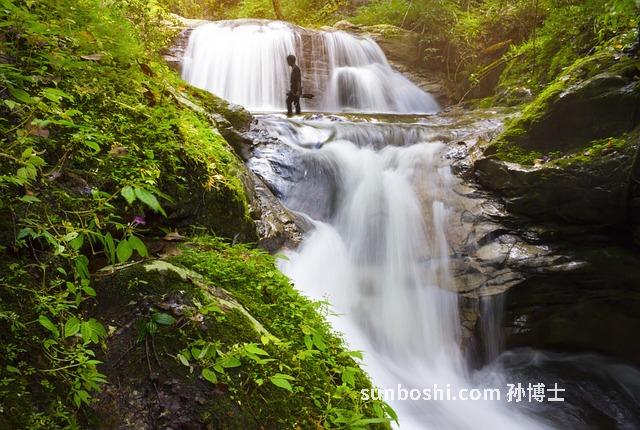 淮山鴨湯的功效與作用