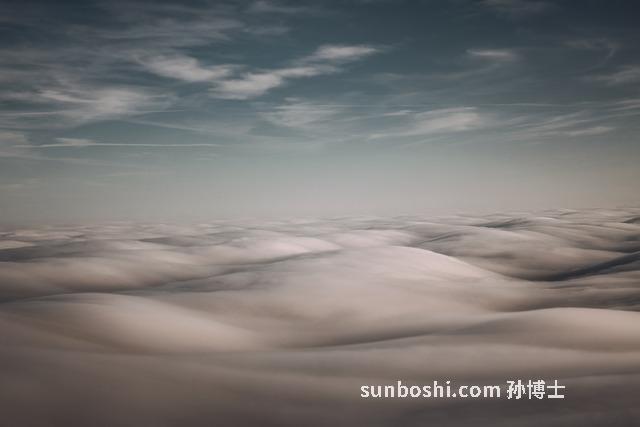 焦檳榔的功效與作用及禁忌