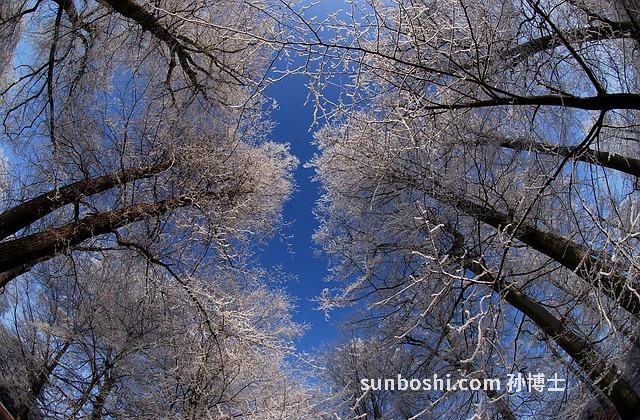 夢見我哥-夢見我哥哥-夢見我哥打我