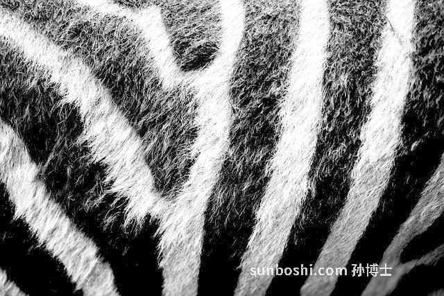 夢見擦屁股-夢見上廁所擦屁股-夢見擦屁股有血