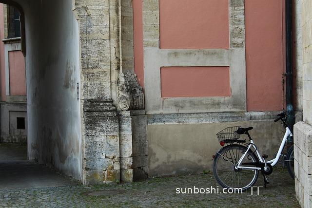 伸根藤的功效與作用