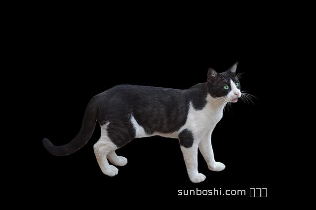 夢(mèng)見碗不見了-夢(mèng)見飯碗不見了-夢(mèng)見吃飯的碗不見了