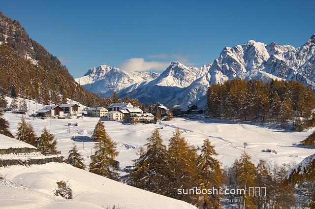 鵓鴣丁茶的功效與作用