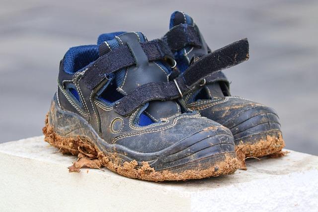 土服芩的功效與作用