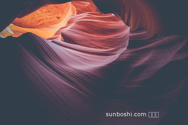 奧州維骨力作用與功效