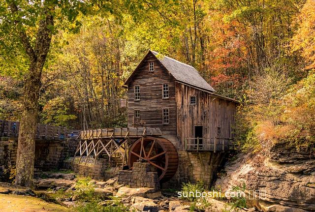 權(quán)健磨粉的功效與作用