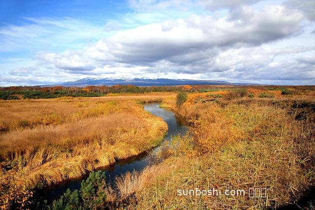 夢見把草-夢見把草拔掉
