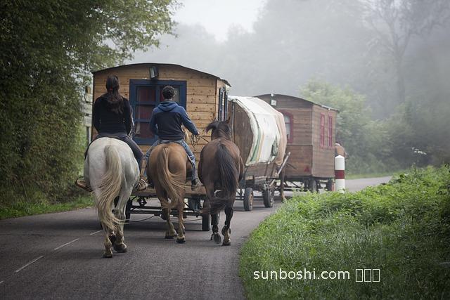 西米片的功效與作用