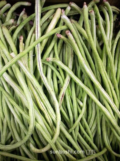 夢見長豆-夢見長豆角-孕婦夢見摘長豆角