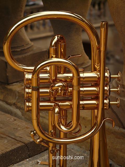 氟輕松軟膏的功效與作用