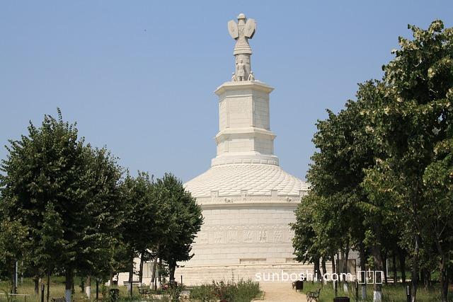 金銀花的功效與作用圖